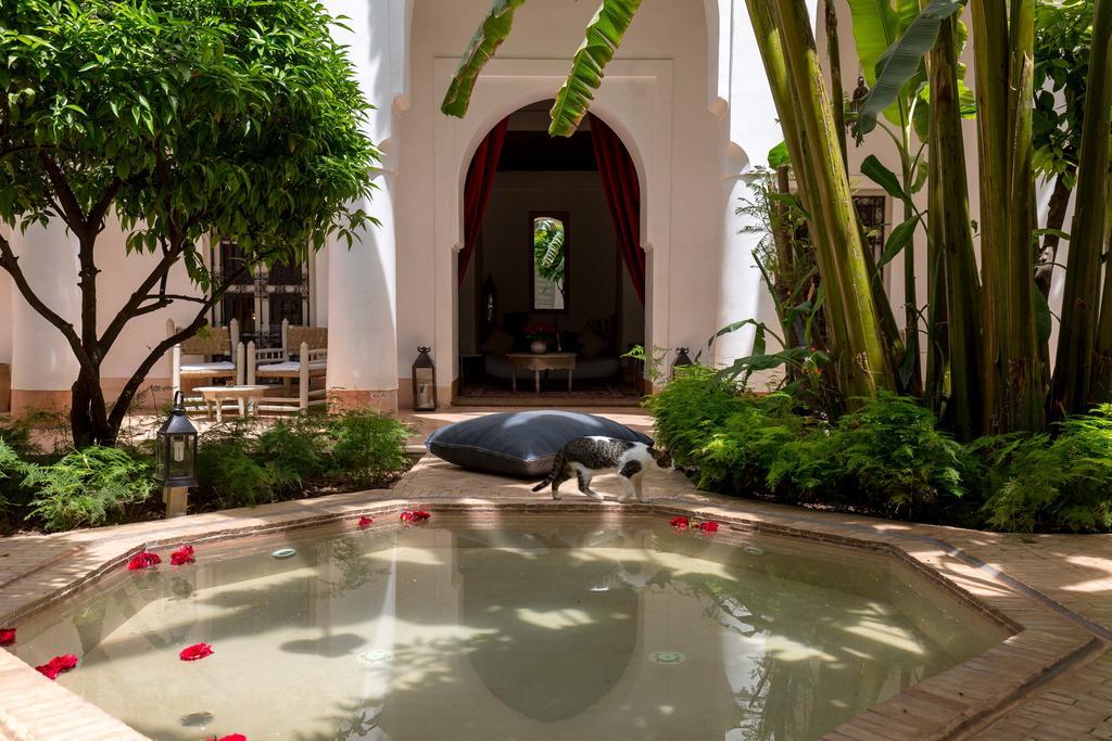 Le Riad Berb\u00E8re Marrakesh Extérieur photo
